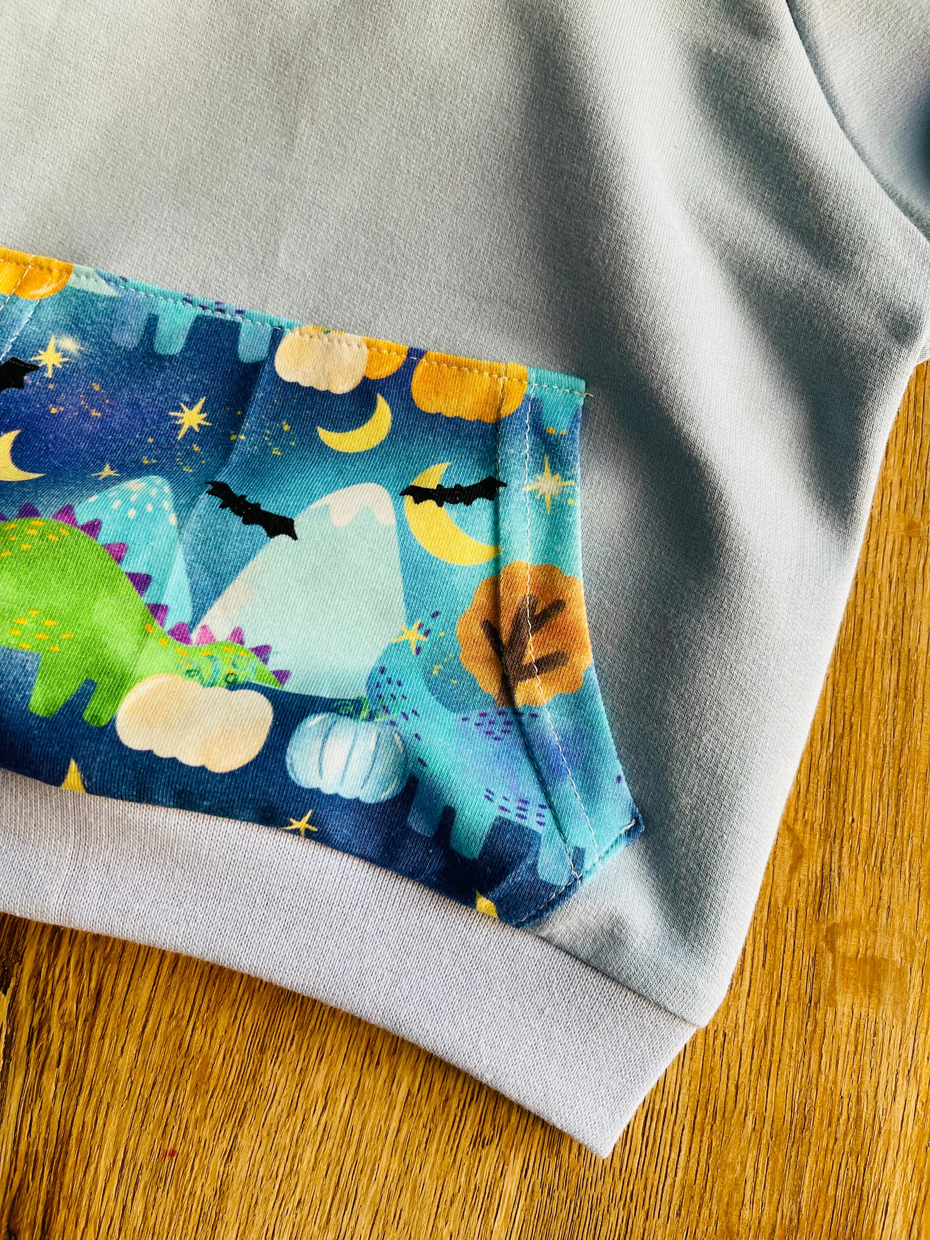 Blue Dinosaurs Hoodie - 3/4 Years