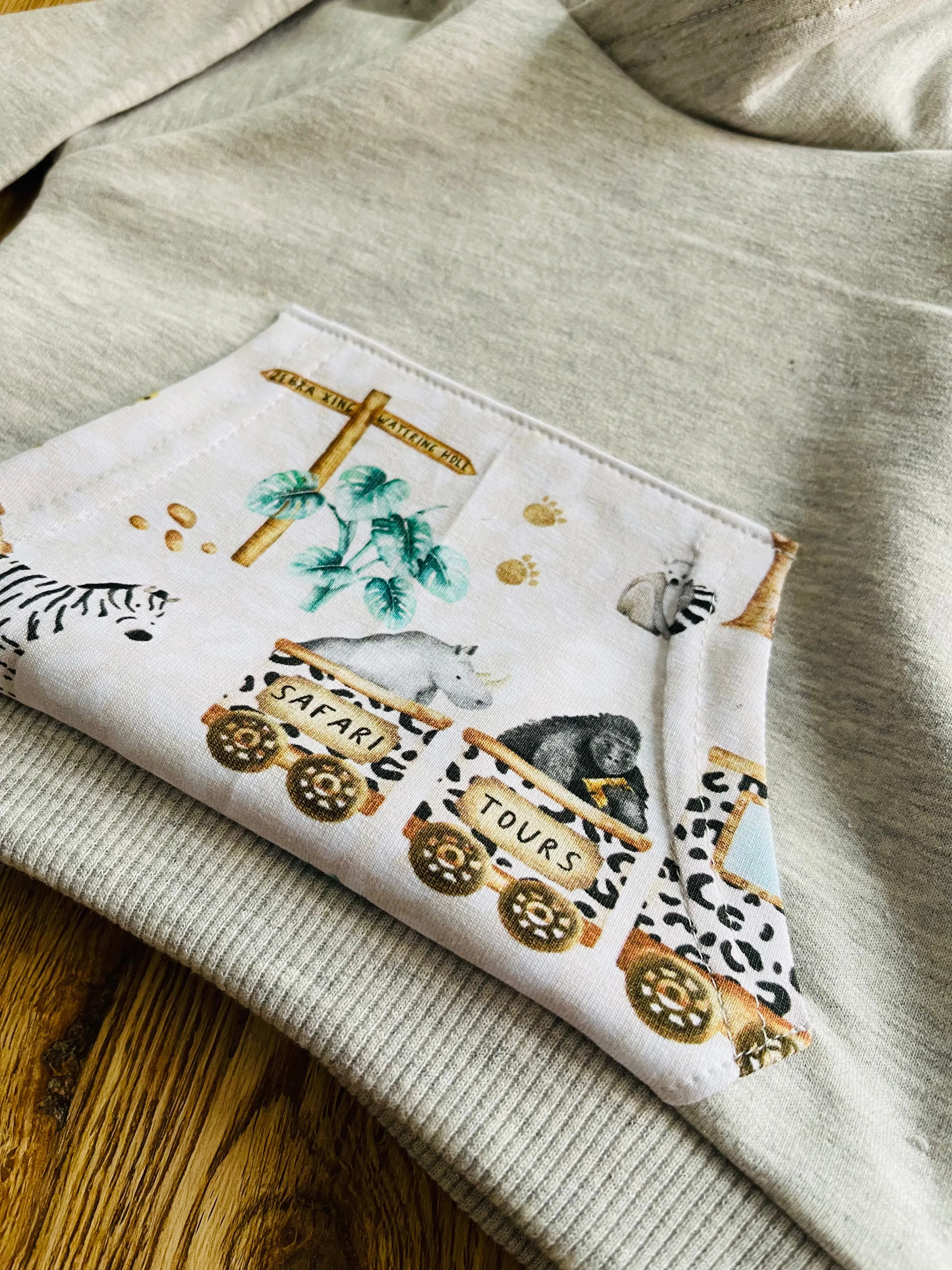 Safari Trains Hoodie - Newborn