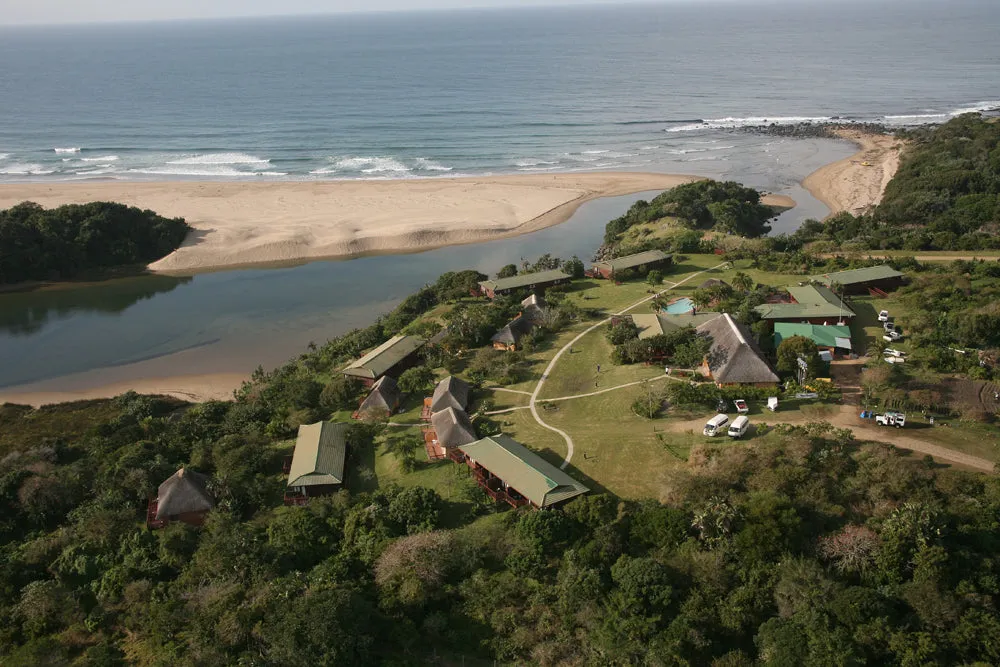 Sardine Run, Wild Coast, South Africa 2024/2025