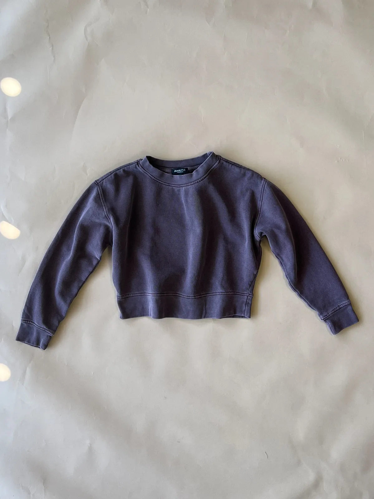 Vintage Cropped Sweatshirt | Plum | Women & Youth 10 